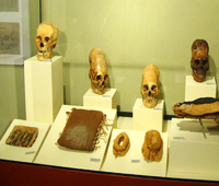 Museo Paracas